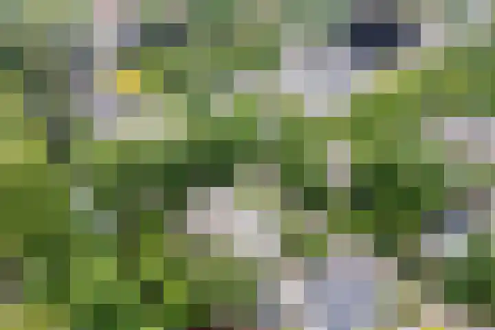 Ursulinenlaan 24 Bergen (NH) thumbnail 44