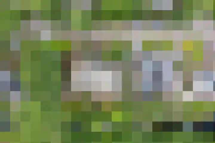 Ursulinenlaan 24 Bergen (NH) thumbnail 46