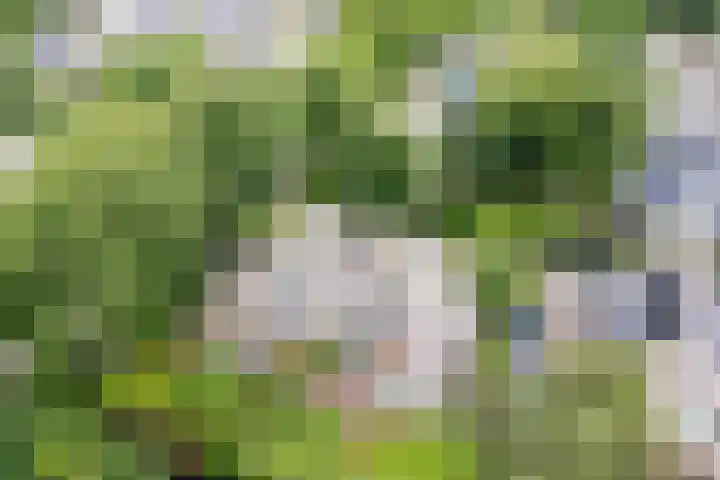 Ursulinenlaan 24 Bergen (NH) thumbnail 51