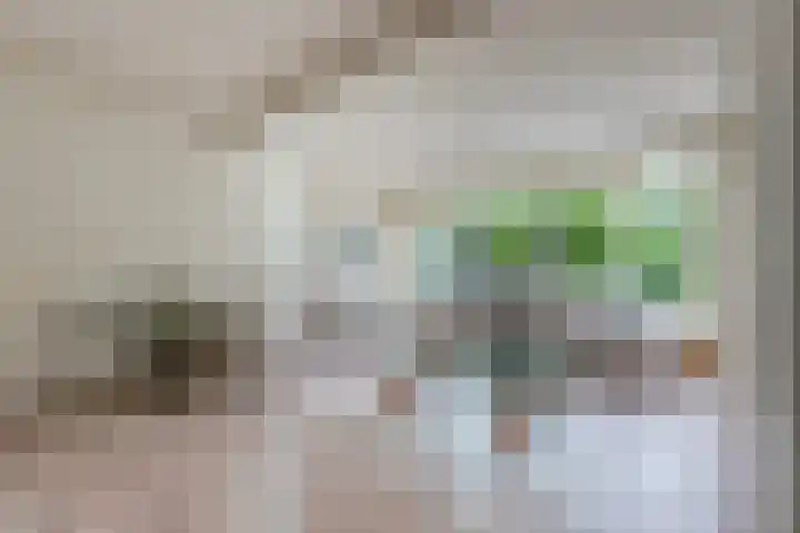 Ursulinenlaan 24 Bergen (NH) thumbnail 7