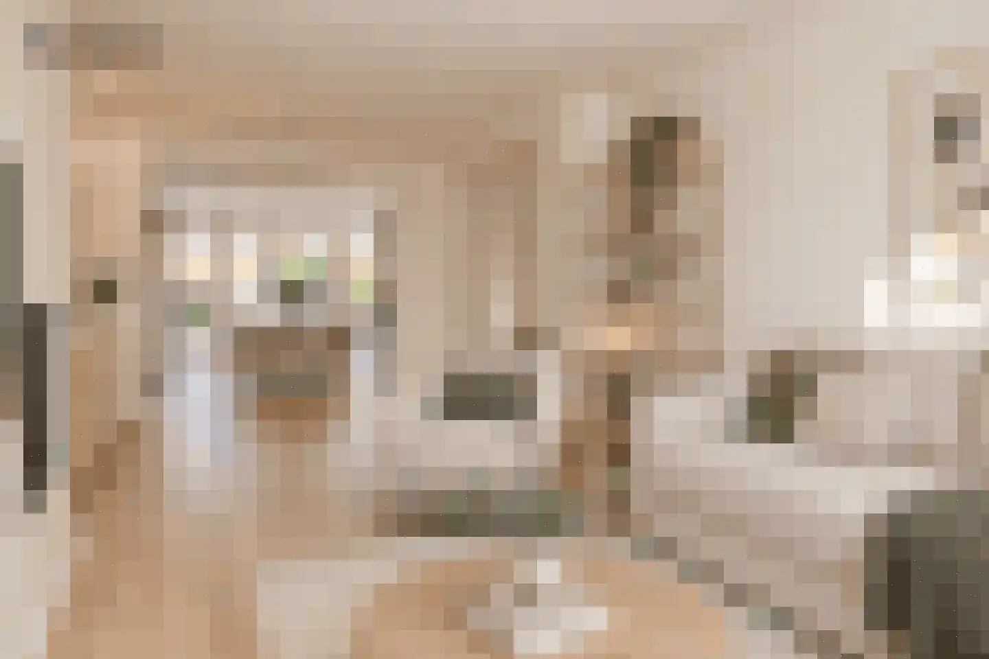 Ursulinenstraat 22 Eijsden thumbnail 10