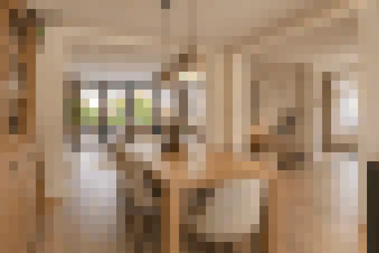 Ursulinenstraat 22 Eijsden thumbnail 12