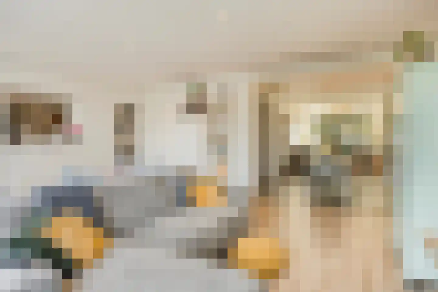Ursulinenstraat 22 Eijsden thumbnail 13