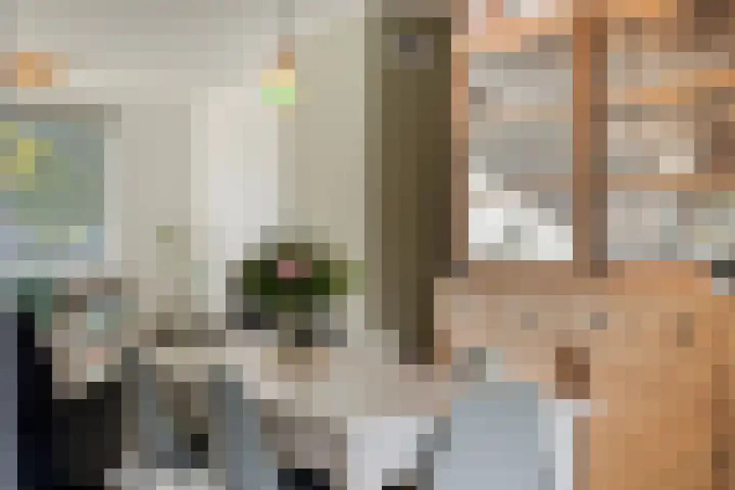Ursulinenstraat 22 Eijsden thumbnail 14