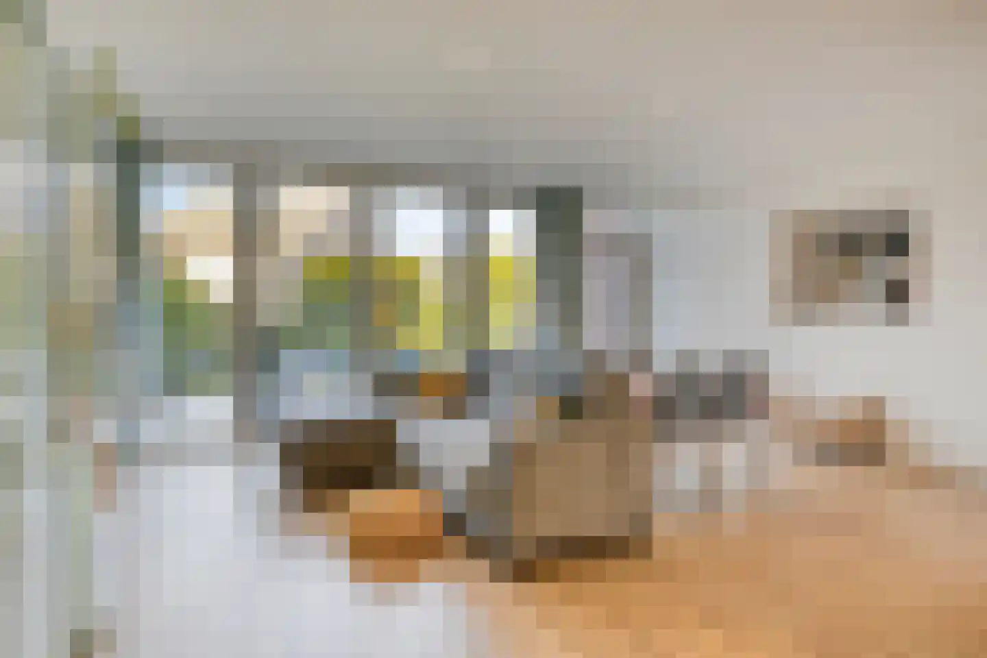 Ursulinenstraat 22 Eijsden thumbnail 15