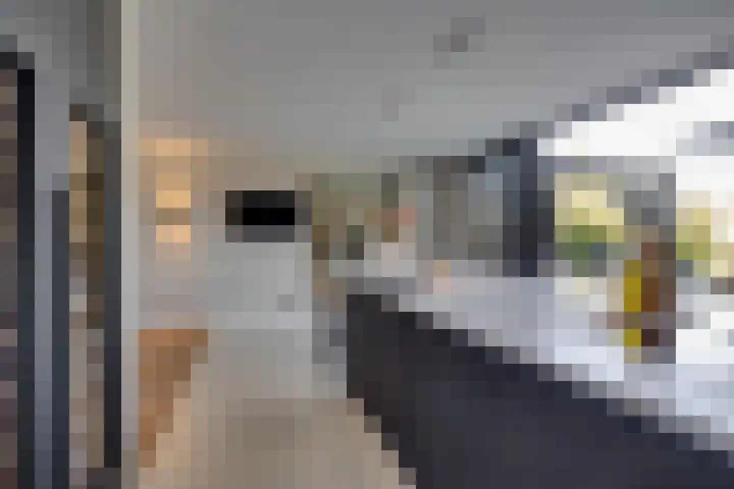 Ursulineweg 22 Leusden thumbnail 21