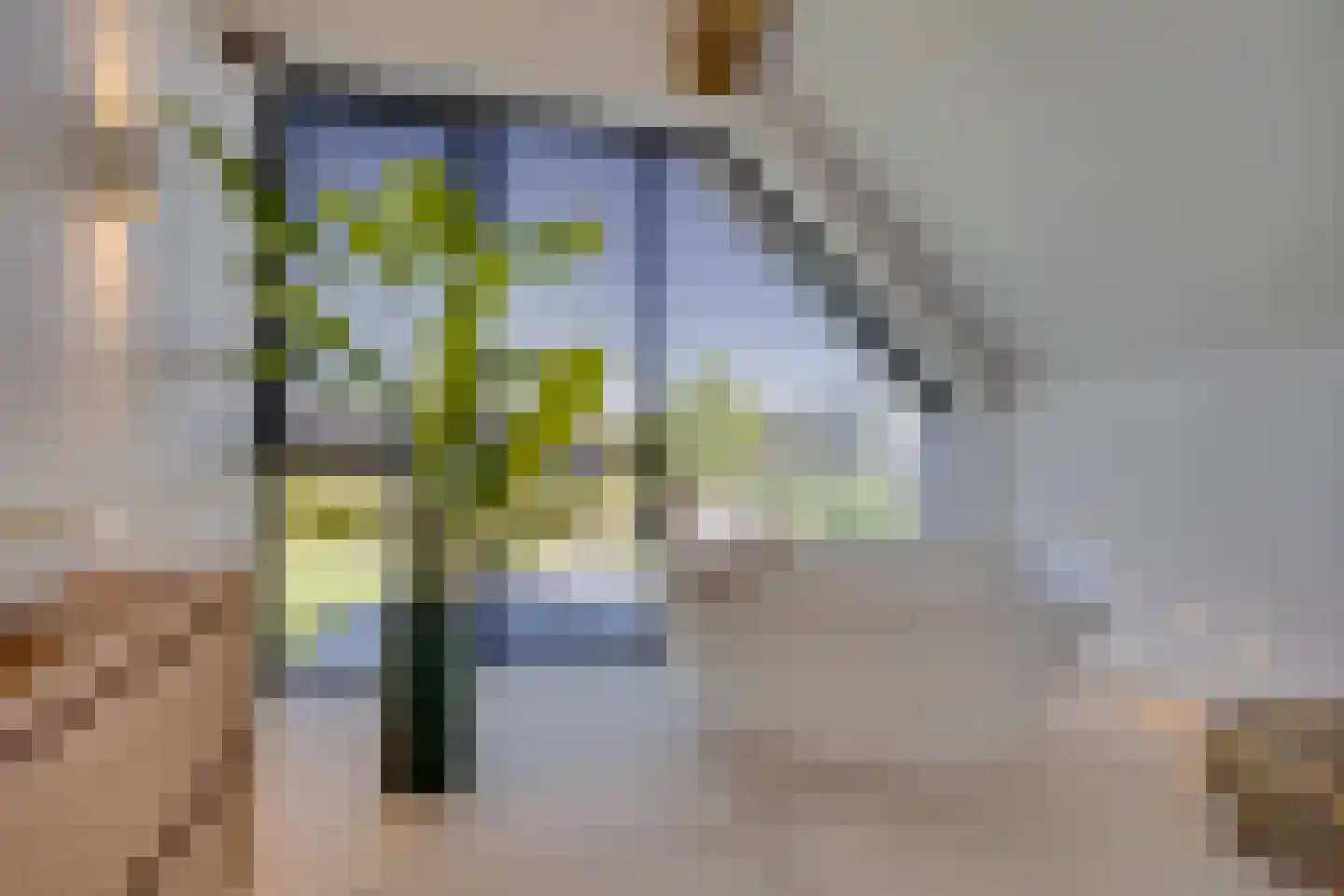 Ursulineweg 22 Leusden thumbnail 31
