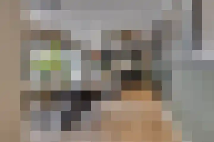 Ursulineweg 7 Leusden thumbnail 13