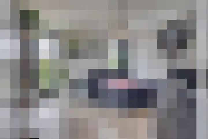 Ursulineweg 7 Leusden thumbnail 29