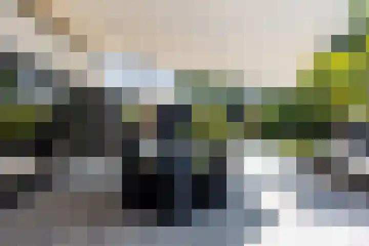 Ursulineweg 7 Leusden thumbnail 51