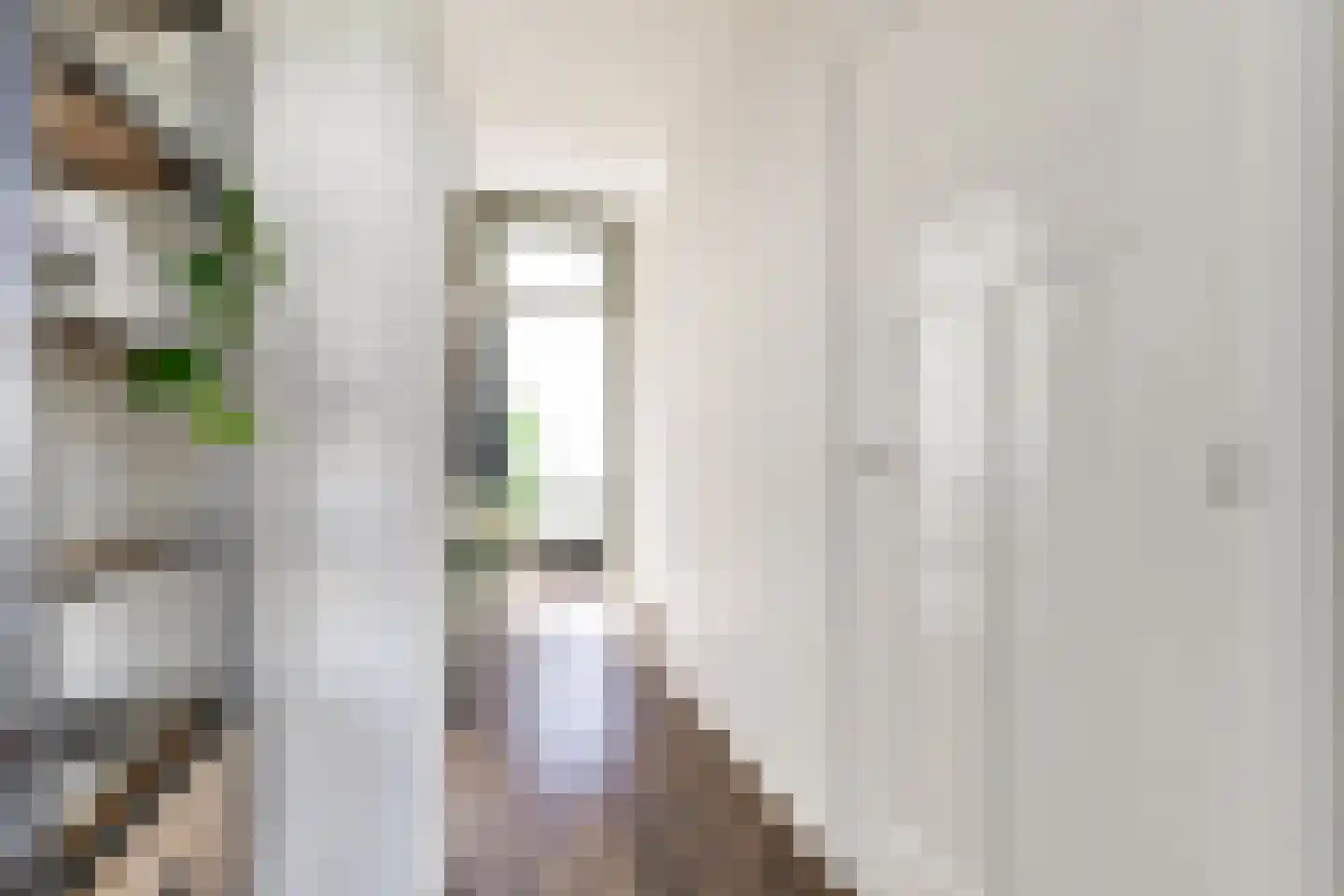 Usselincxstraat 10 Den Haag thumbnail 7