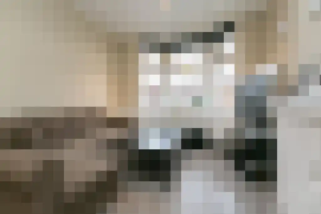 Usselincxstraat 144 Den Haag thumbnail 5