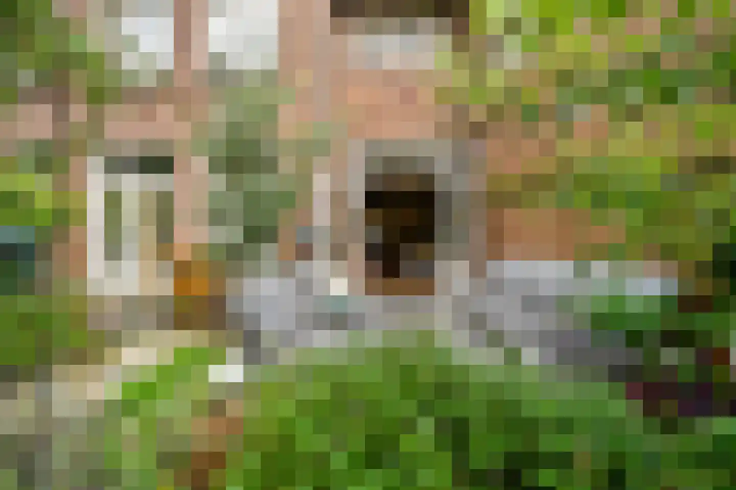 Usselincxstraat 149 Den Haag thumbnail 17