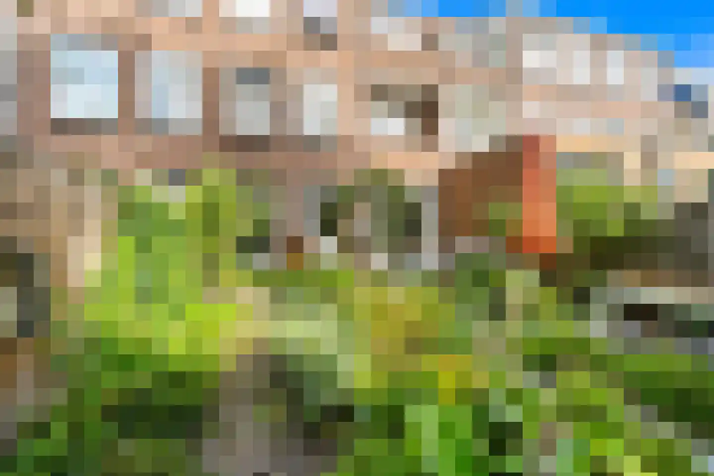 Usselincxstraat 149 Den Haag thumbnail 6