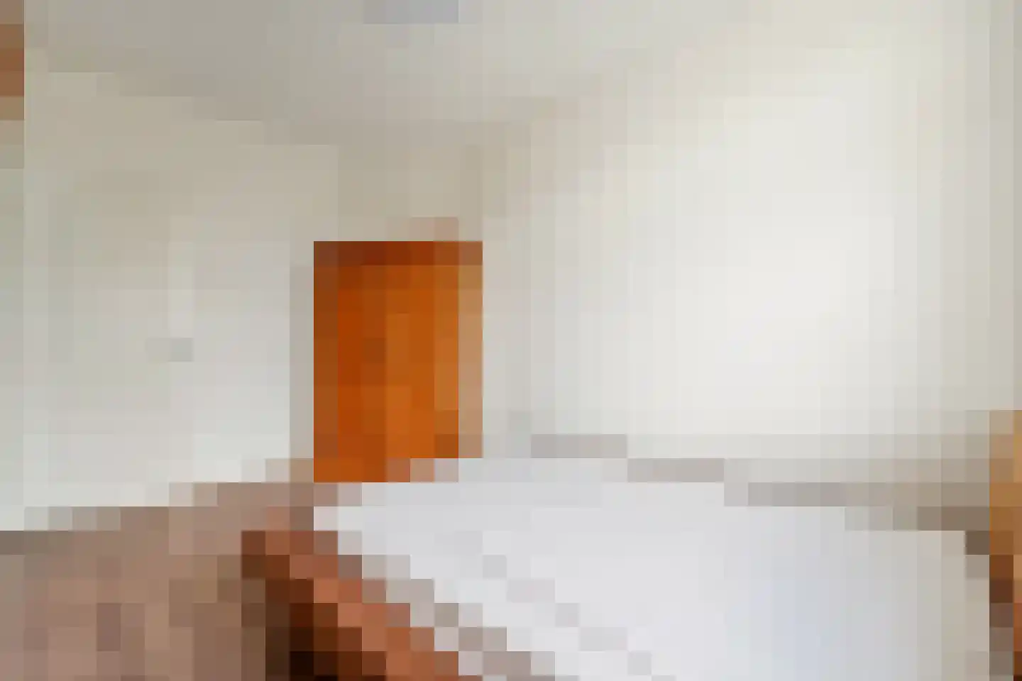 Usselincxstraat 16 Den Haag thumbnail 22
