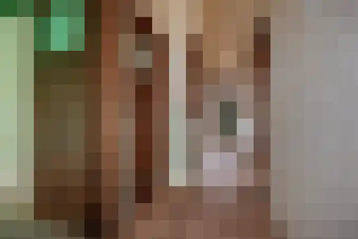 Usselincxstraat 17 Den Haag thumbnail 15