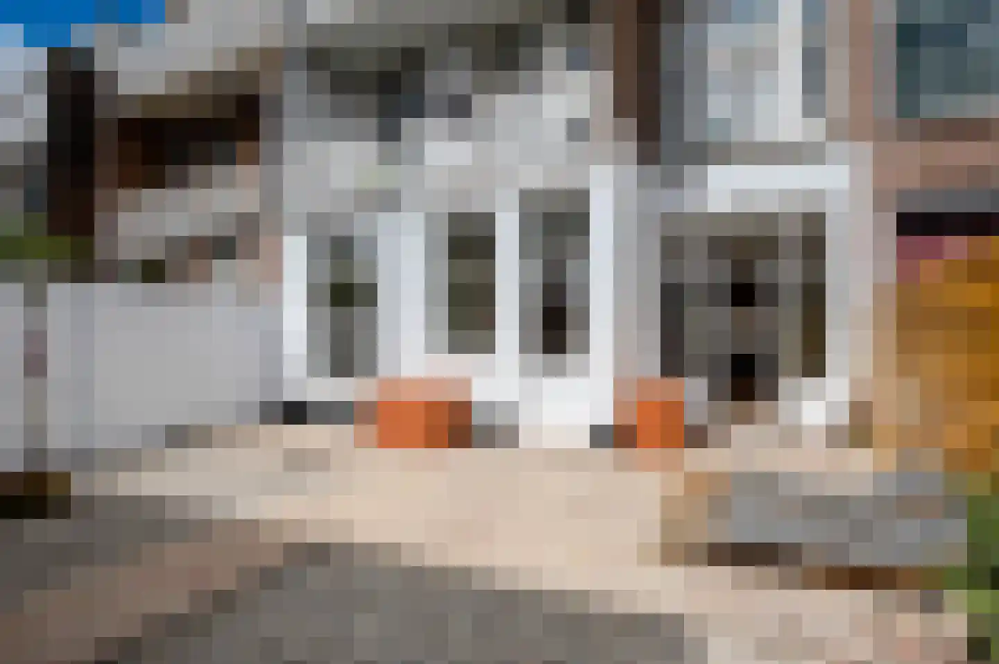 Usselincxstraat 17 Den Haag thumbnail 39