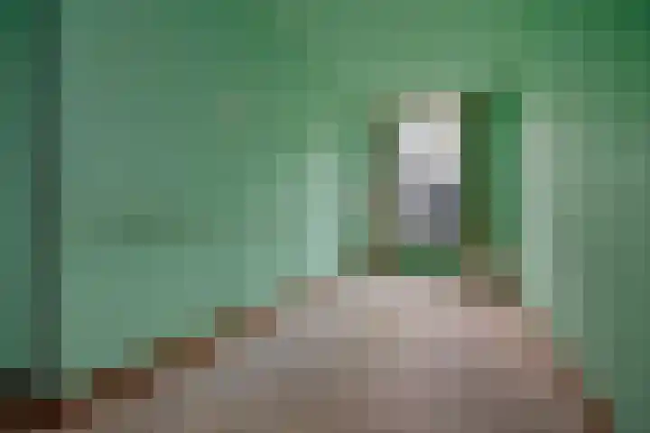 Usselincxstraat 17 Den Haag thumbnail 5