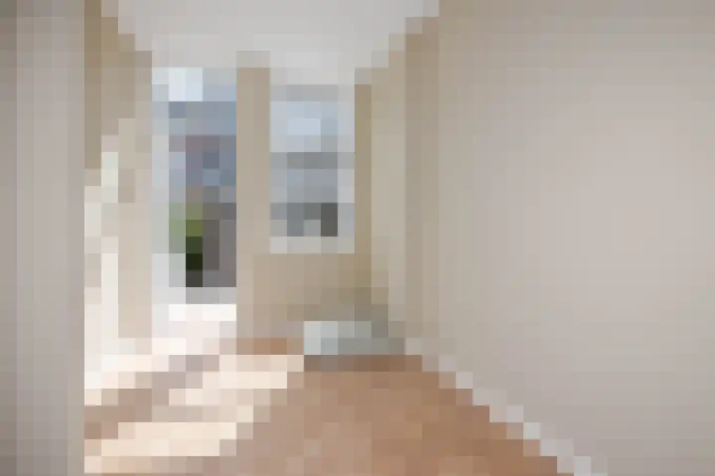 Usselincxstraat 17 Den Haag thumbnail 55