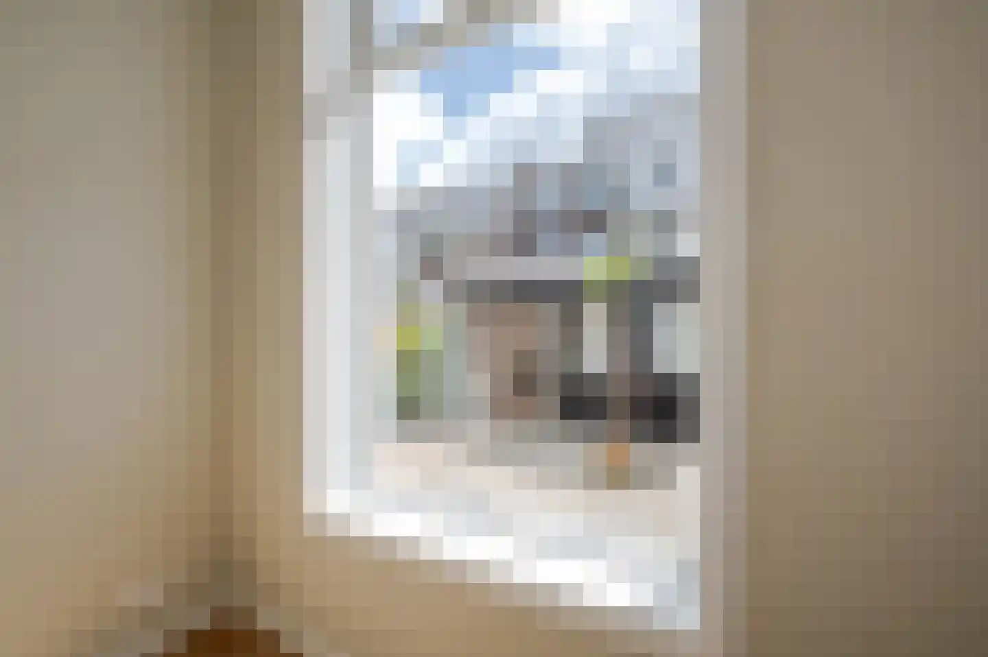 Usselincxstraat 17 Den Haag thumbnail 60