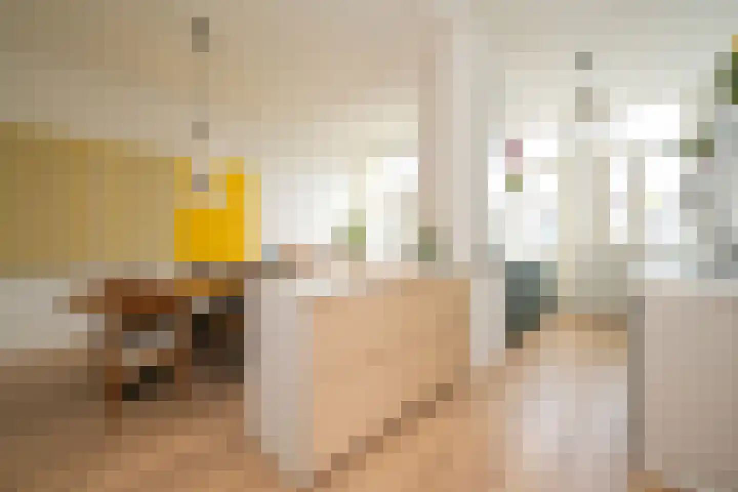 Usselincxstraat 49 Den Haag thumbnail 8