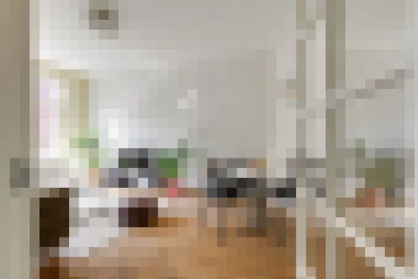 Usselincxstraat 52 Den Haag thumbnail 7
