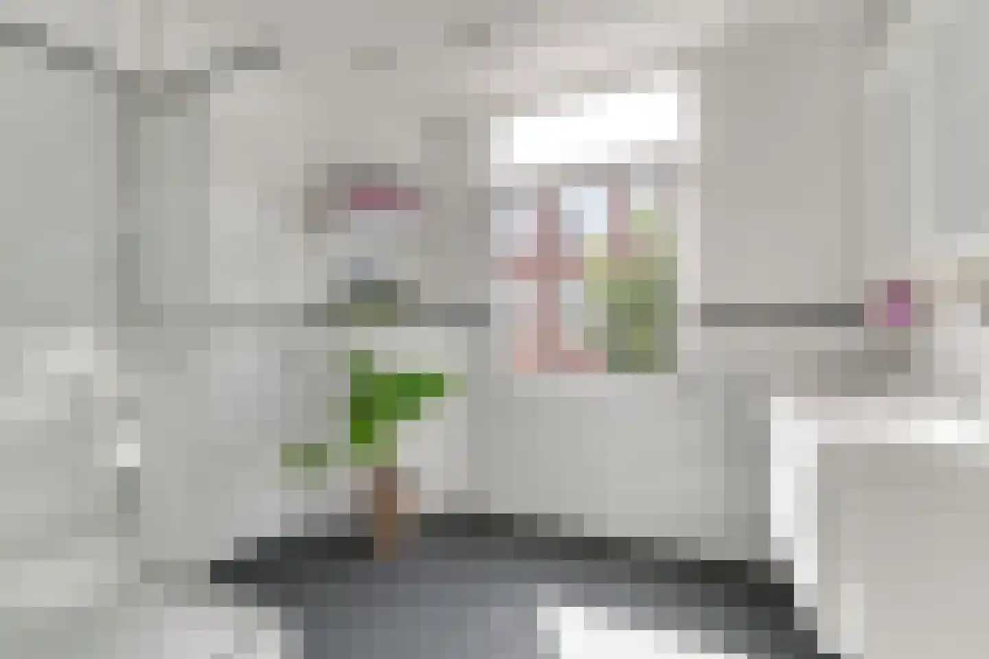 Usselincxstraat 52 Den Haag thumbnail 9