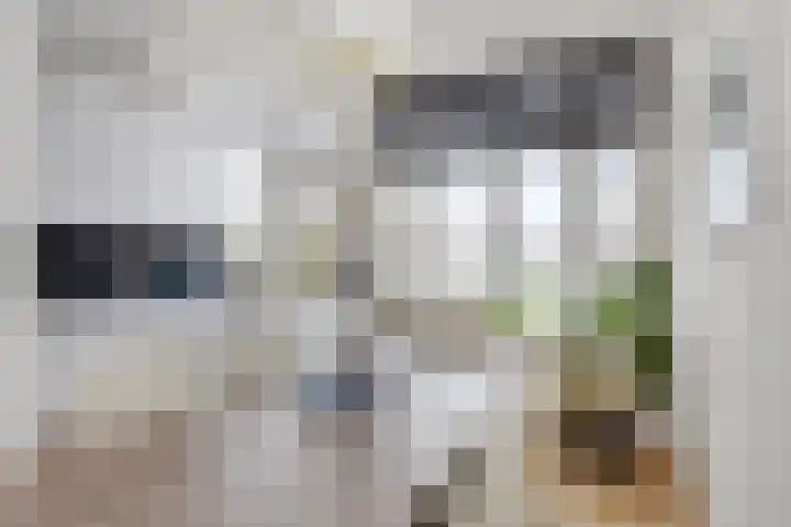 Usselincxstraat 68 Den Haag thumbnail 8