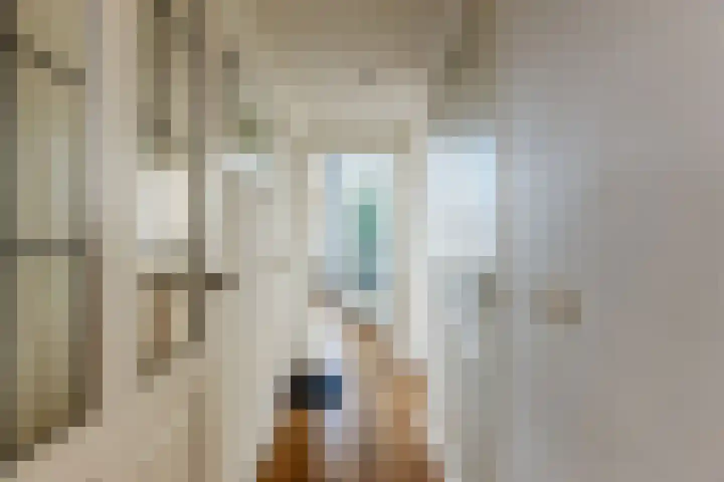 Usselincxstraat 73 Den Haag thumbnail 30