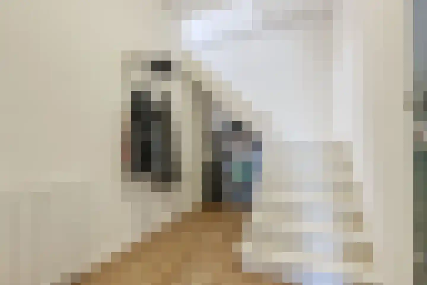 Usselincxstraat 73 Den Haag thumbnail 40
