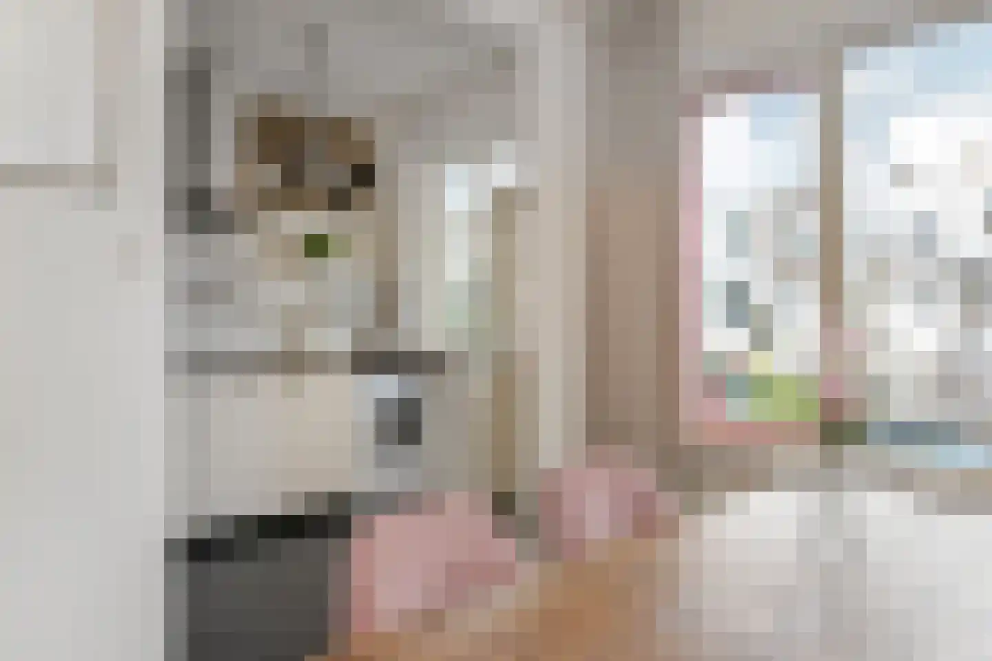 Usselincxstraat 82 Den Haag thumbnail 18
