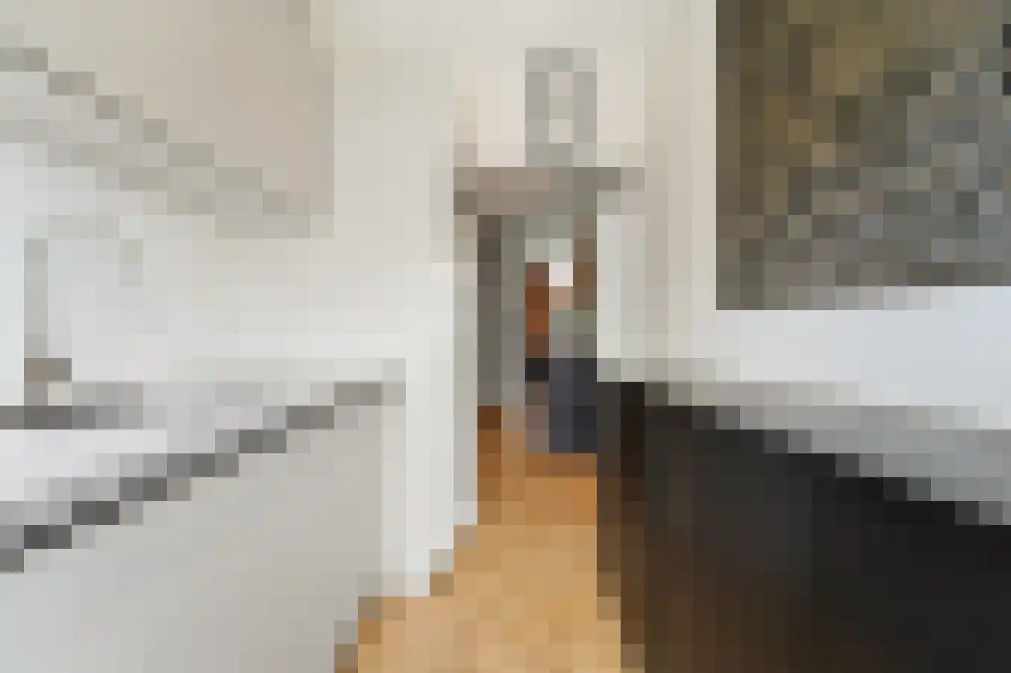 Usselincxstraat 88 Den Haag thumbnail 10
