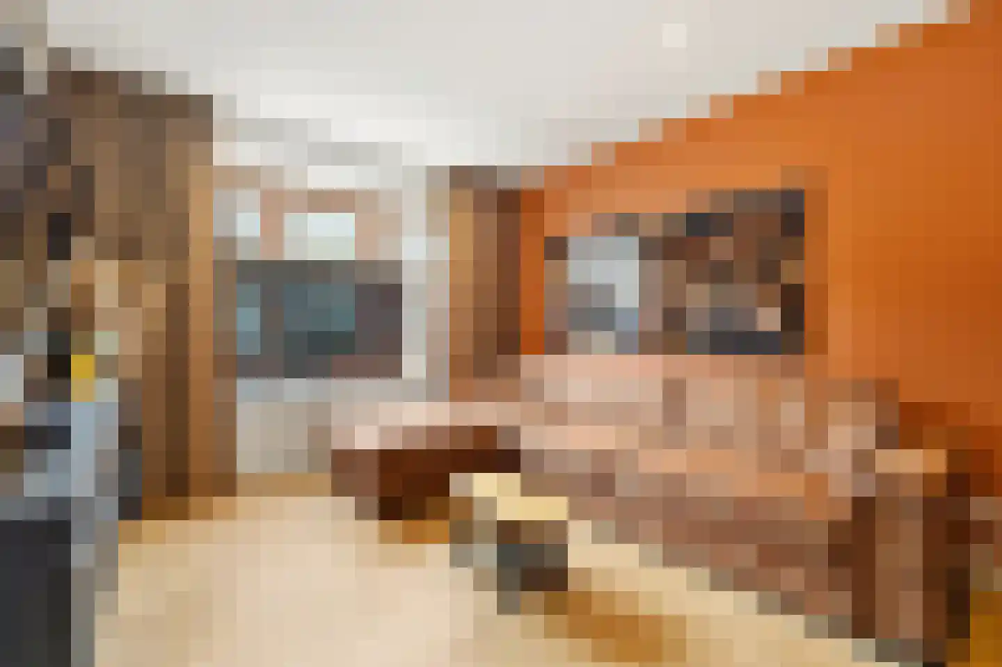 Usselincxstraat 88 Den Haag thumbnail 16