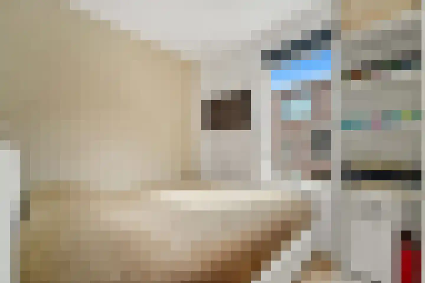 Usselincxstraat 88 Den Haag thumbnail 19