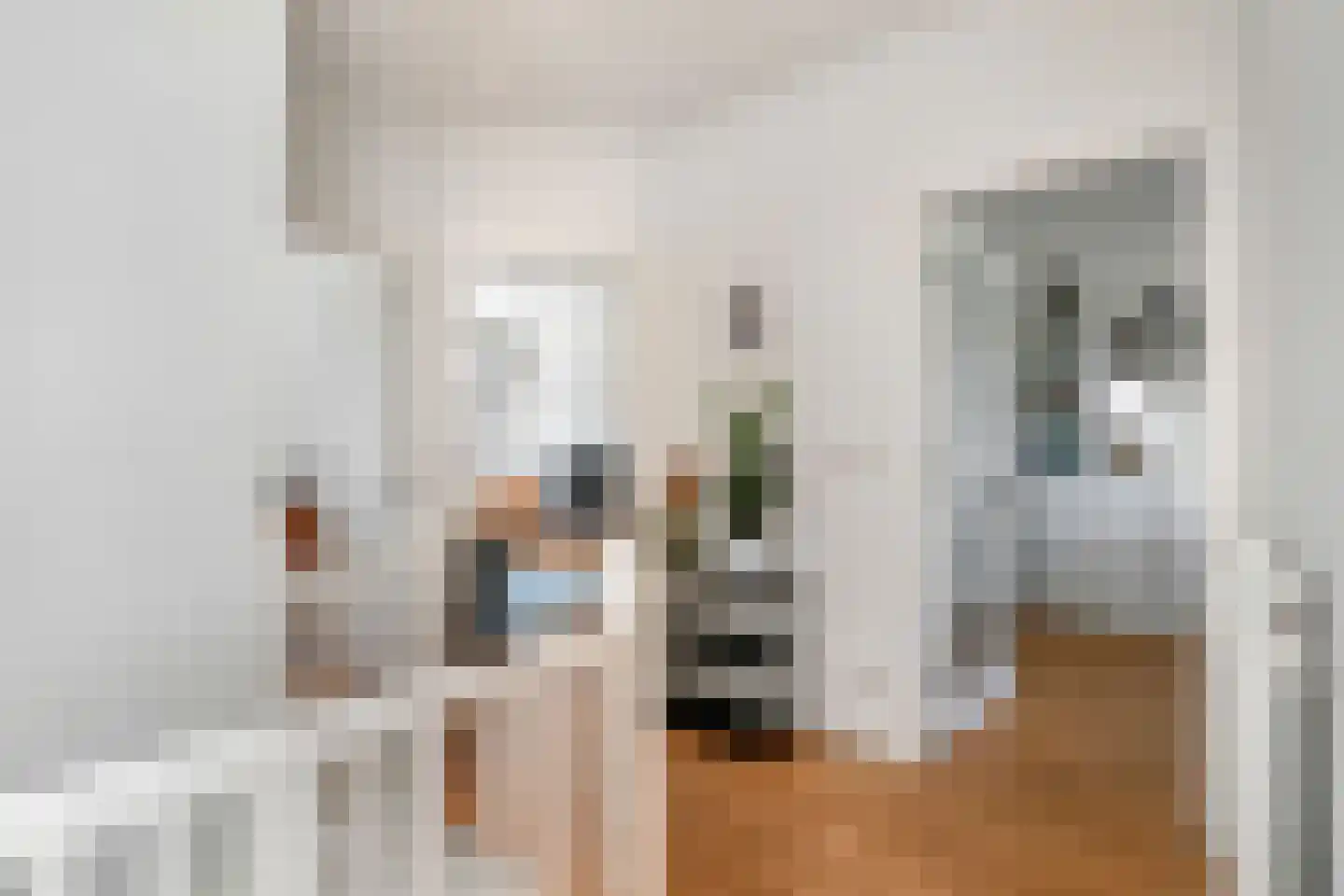 Usselincxstraat 90 Den Haag thumbnail 25