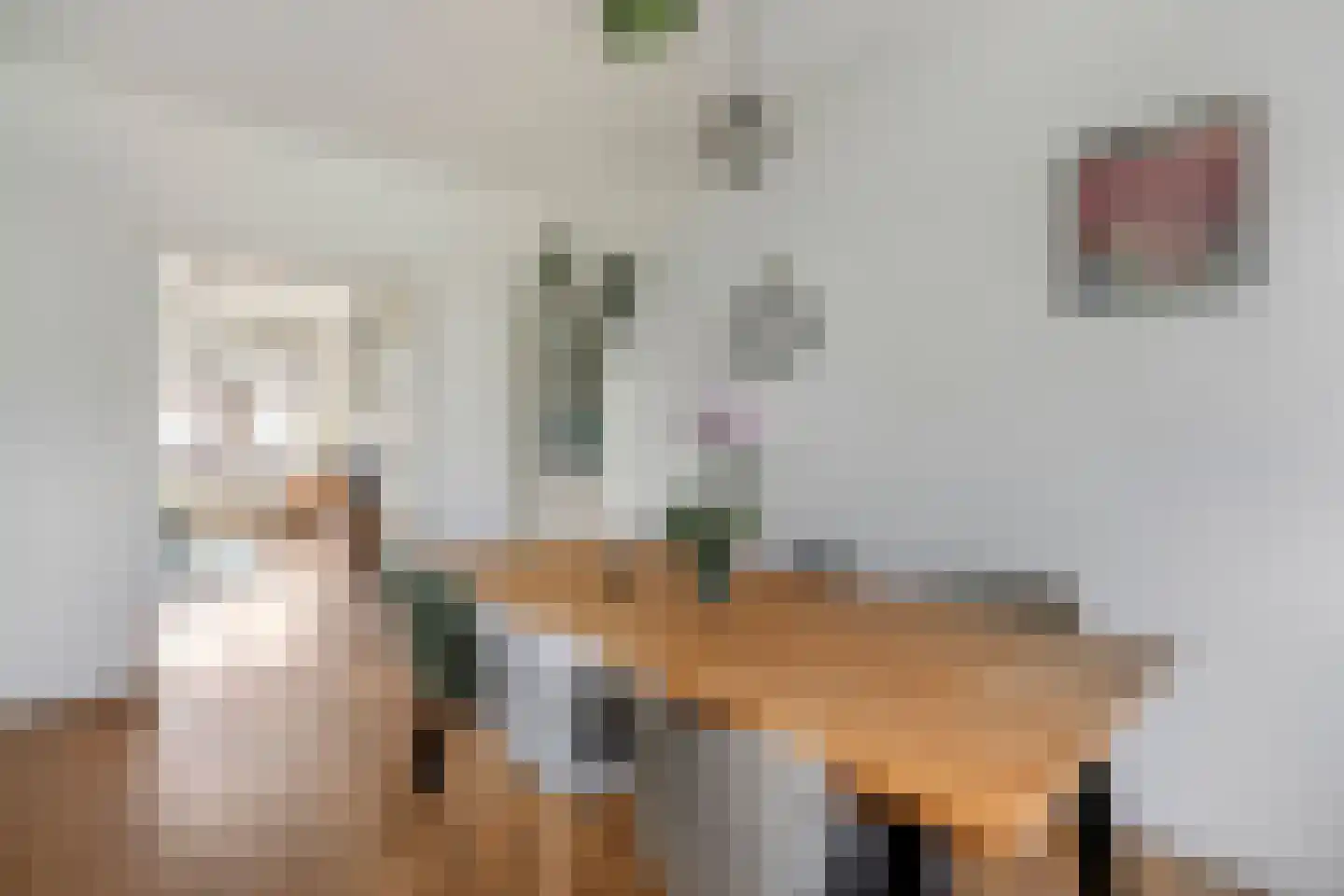 Usselincxstraat 90 Den Haag thumbnail 36