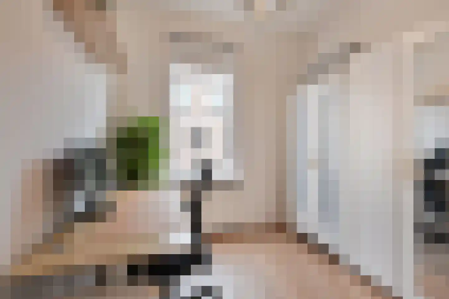 Usselincxstraat 93 Den Haag thumbnail 23