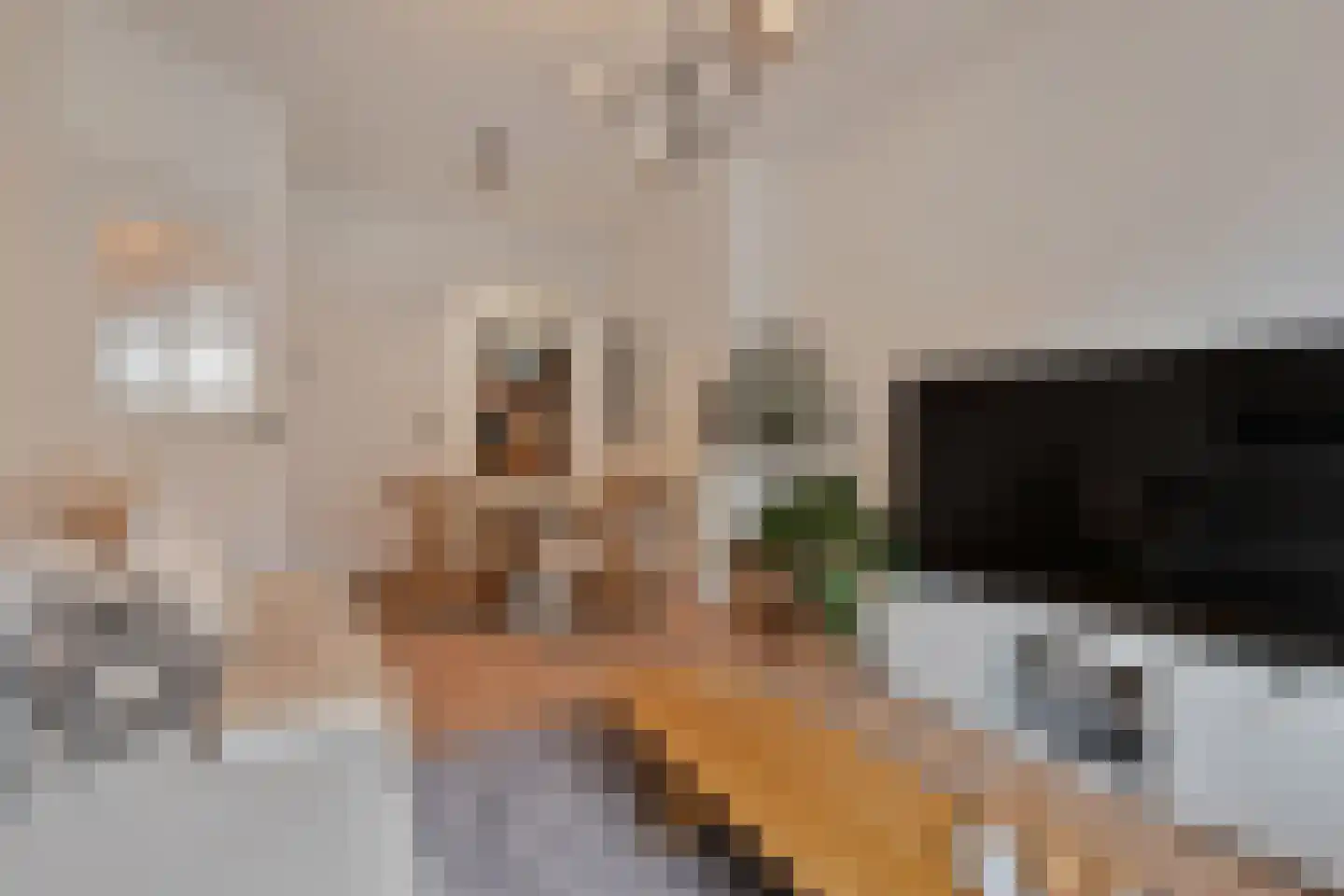 Usselincxstraat 93 Den Haag thumbnail 8