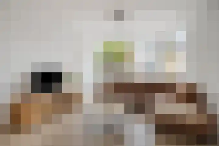 Ussenstraat 13 Oss thumbnail 10