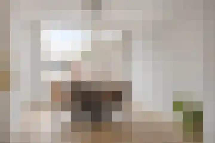 Ussenstraat 13 Oss thumbnail 12