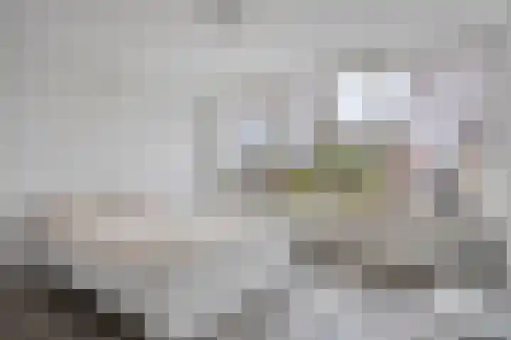 Ussenstraat 13 Oss thumbnail 25