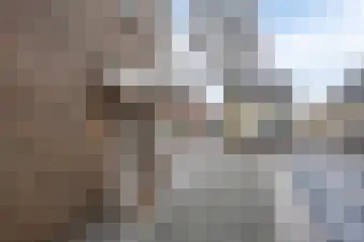 Ussenstraat 13 Oss thumbnail 5