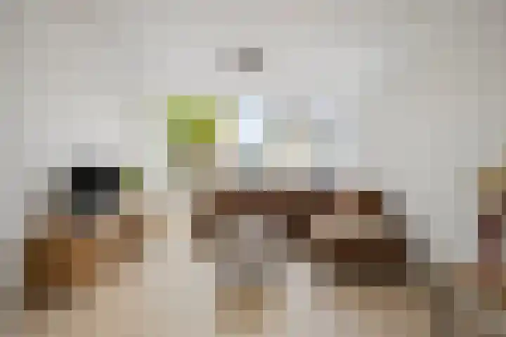 Ussenstraat 13 Oss thumbnail 8