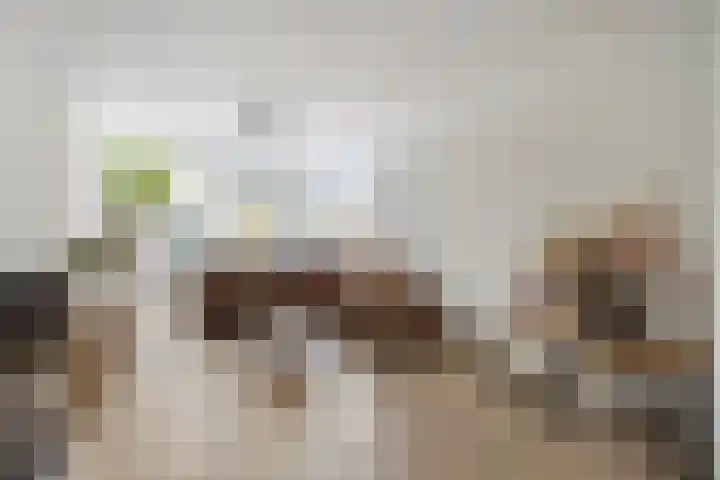 Ussenstraat 13 Oss thumbnail 9