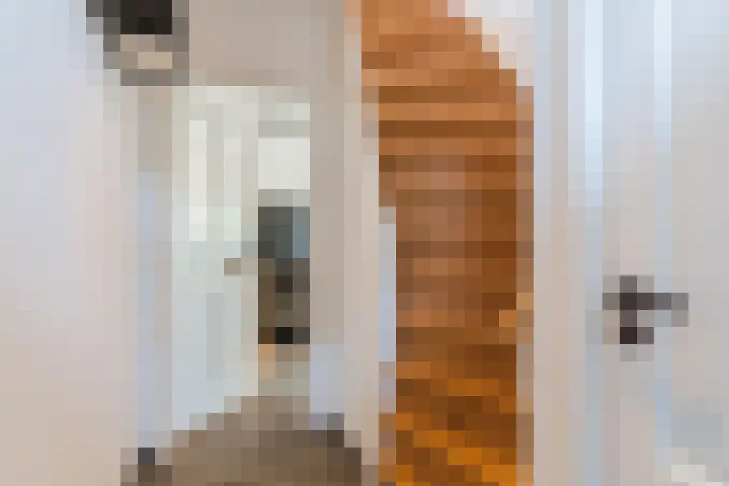 Ussenstraat 37 A Oss thumbnail 16