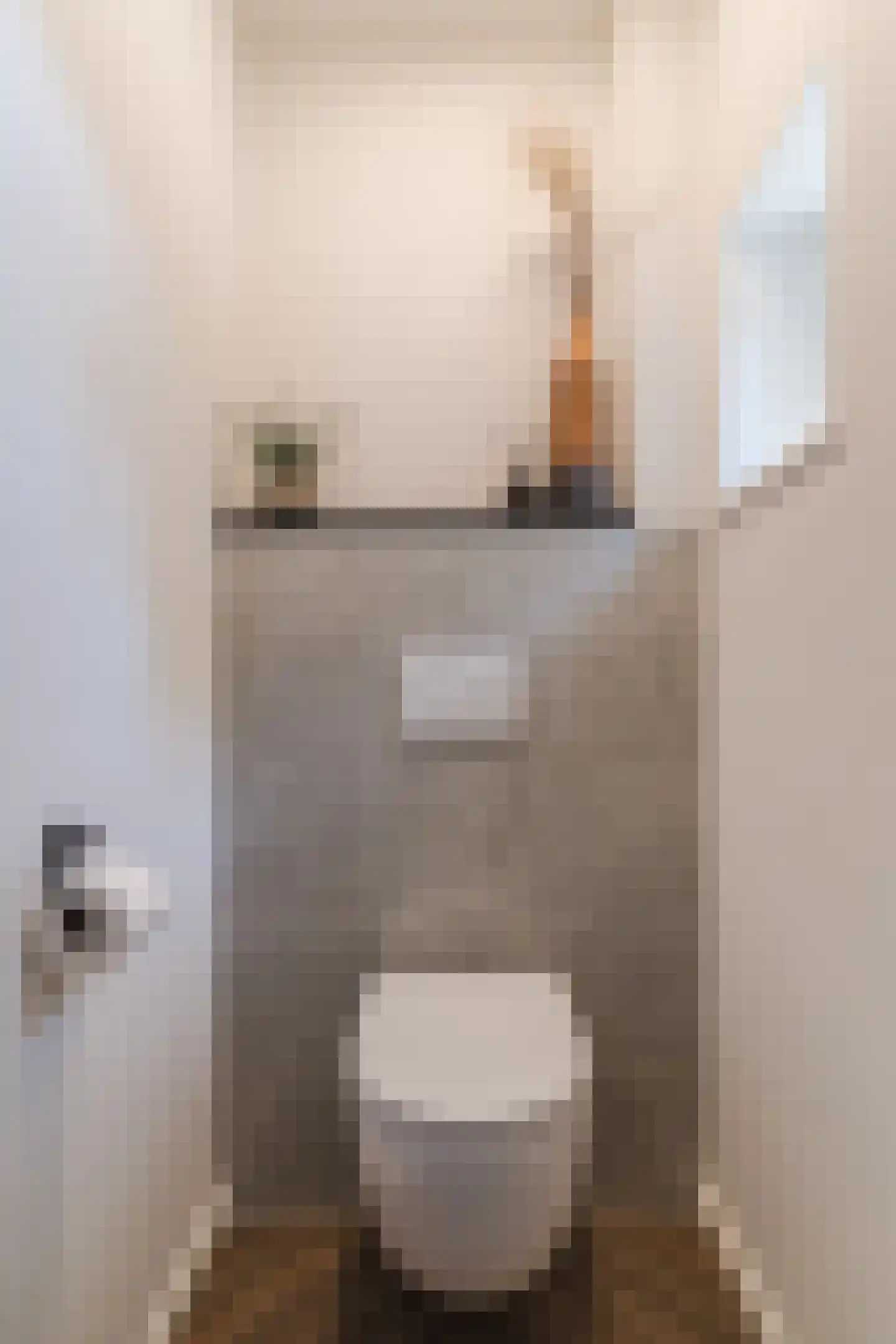 Ussenstraat 37 A Oss thumbnail 18