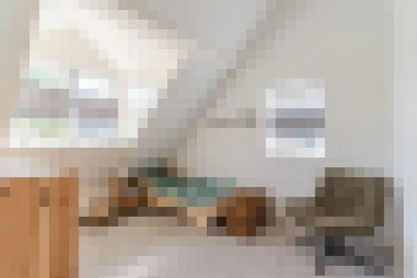 Ussenstraat 37 A Oss thumbnail 24
