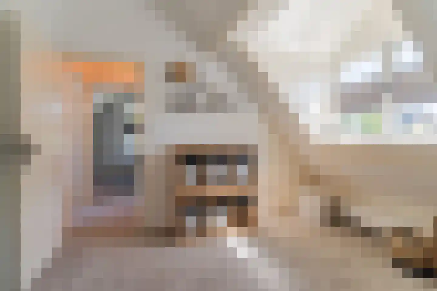 Ussenstraat 37 A Oss thumbnail 25