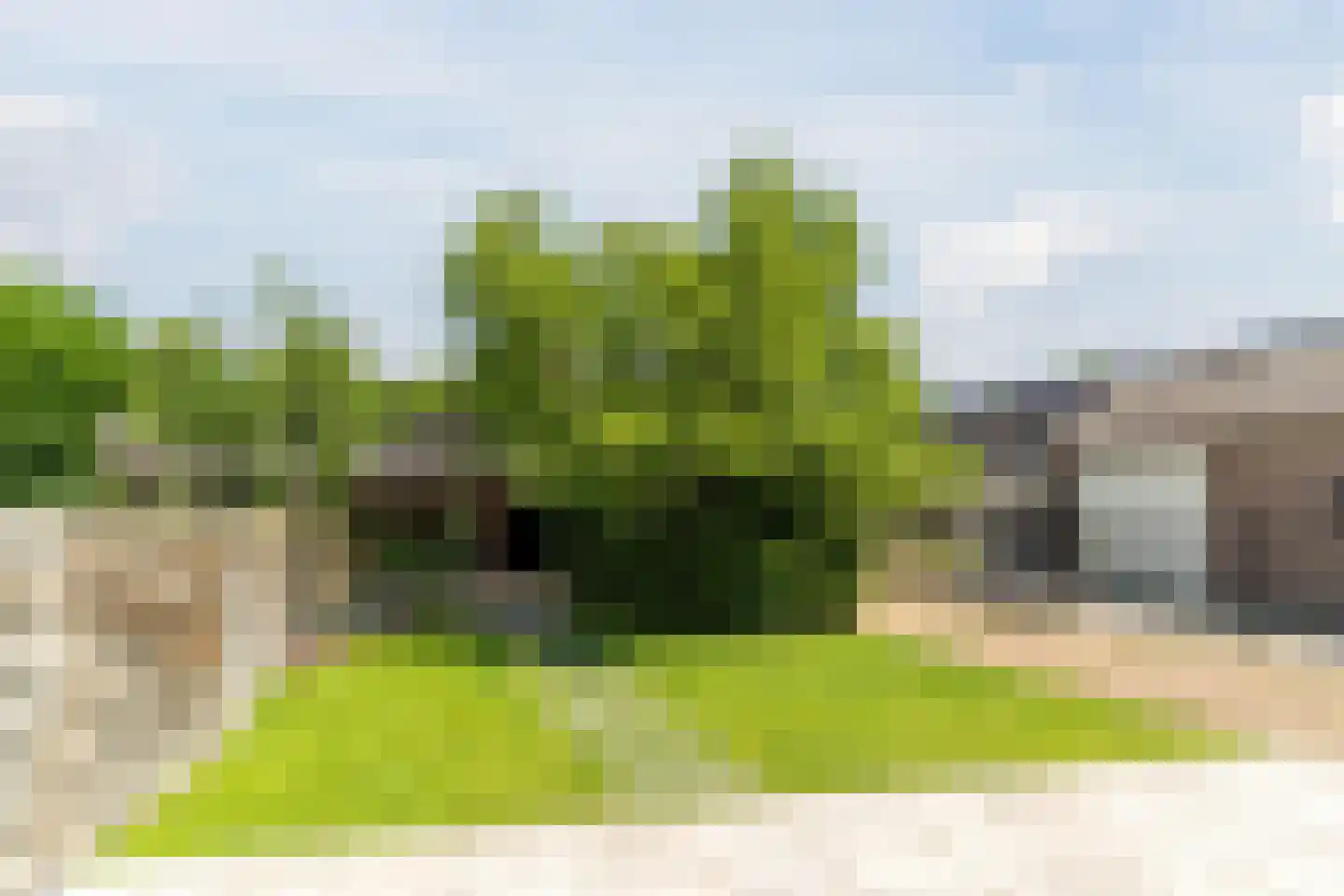 Ussenstraat 37 A Oss thumbnail 32