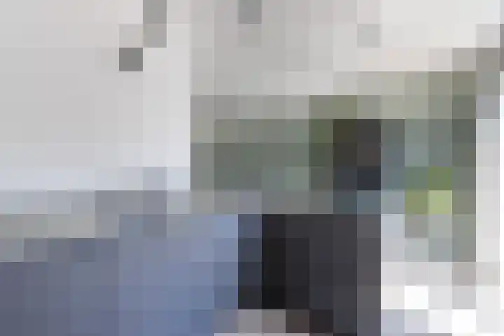 Utbuorren 10 Winsum thumbnail 11